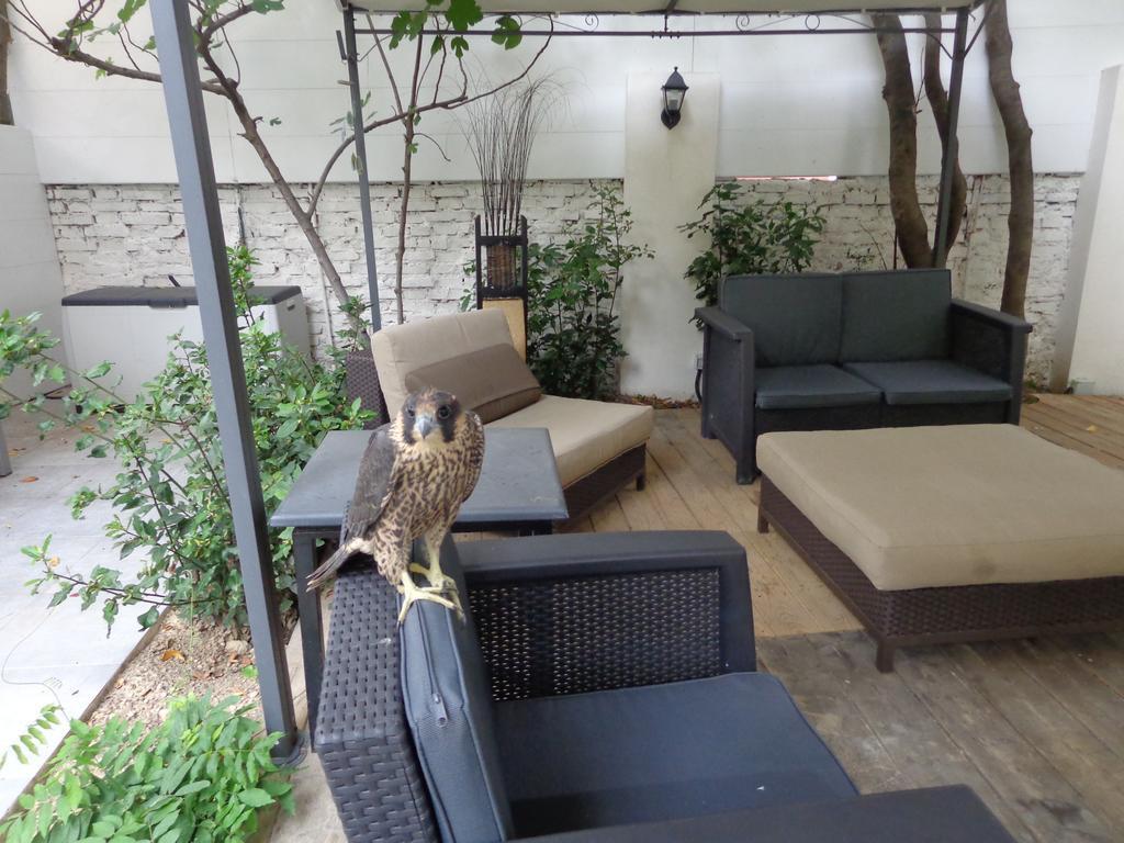Hotel Astoria Golden House Roma Exterior foto